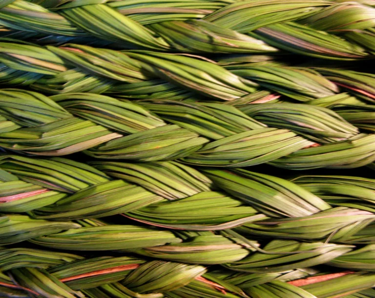 Sweetgrass